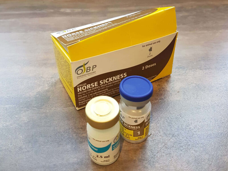 Good news for horse owners as African horse sickness vaccine stock is replenished