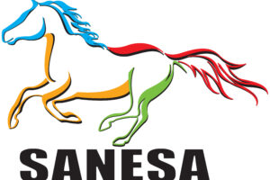 SANESA Finals Teams
