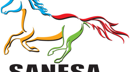SANESA Finals Teams