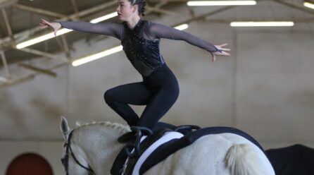 Vaulting: Gymnastics on Horseback