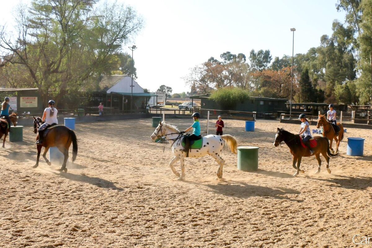 ODE TO THE SCHOOL PONY