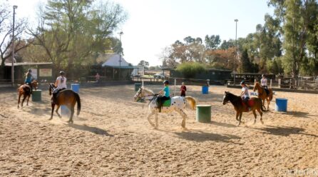 ODE TO THE SCHOOL PONY