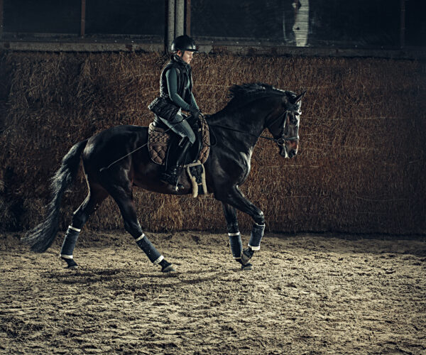 The Beat of the Hooves: Understanding Footfalls in Horse Gaits