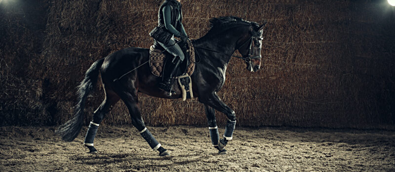 The Beat of the Hooves: Understanding Footfalls in Horse Gaits