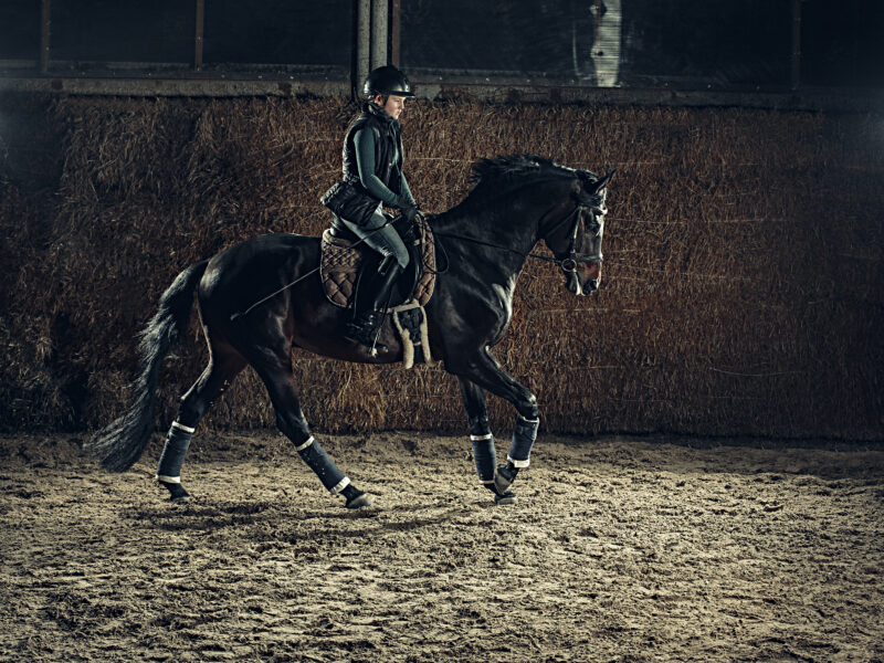 The Beat of the Hooves: Understanding Footfalls in Horse Gaits