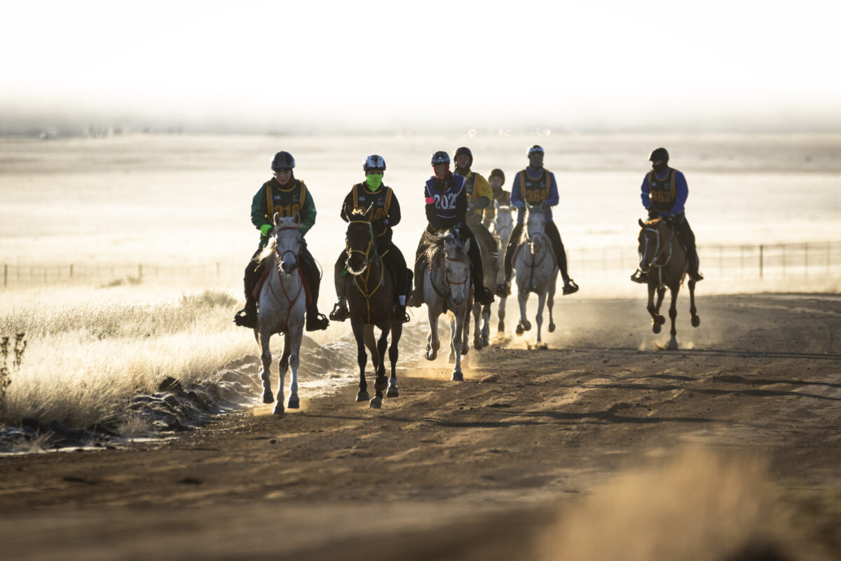 Endurance Riding: The Ultimate Test of Grit and Partnership