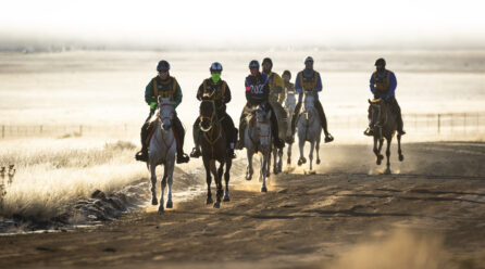 Endurance Riding: The Ultimate Test of Grit and Partnership