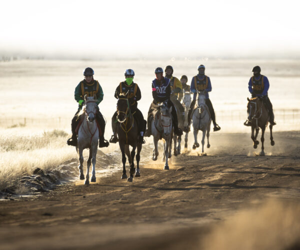 Endurance Riding: The Ultimate Test of Grit and Partnership