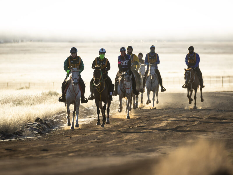 Endurance Riding: The Ultimate Test of Grit and Partnership