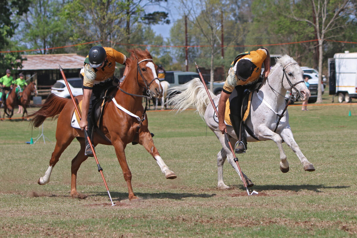 Tradition, Precision and the Thrill of the Charge in Tentpegging