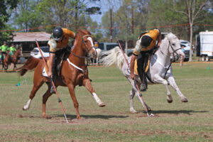 Tradition, Precision and the Thrill of the Charge in Tentpegging