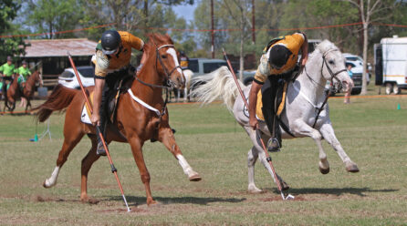 Tradition, Precision and the Thrill of the Charge in Tentpegging
