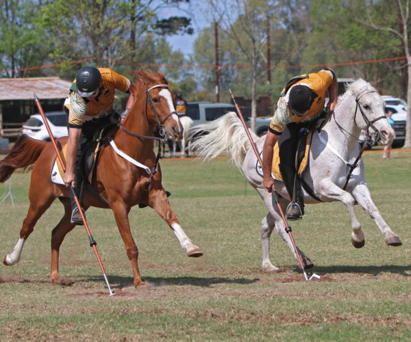 Tradition, Precision and the Thrill of the Charge in Tentpegging