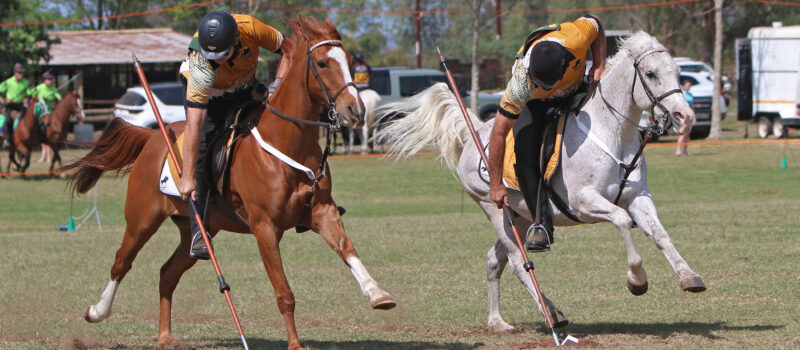 Tradition, Precision and the Thrill of the Charge in Tentpegging