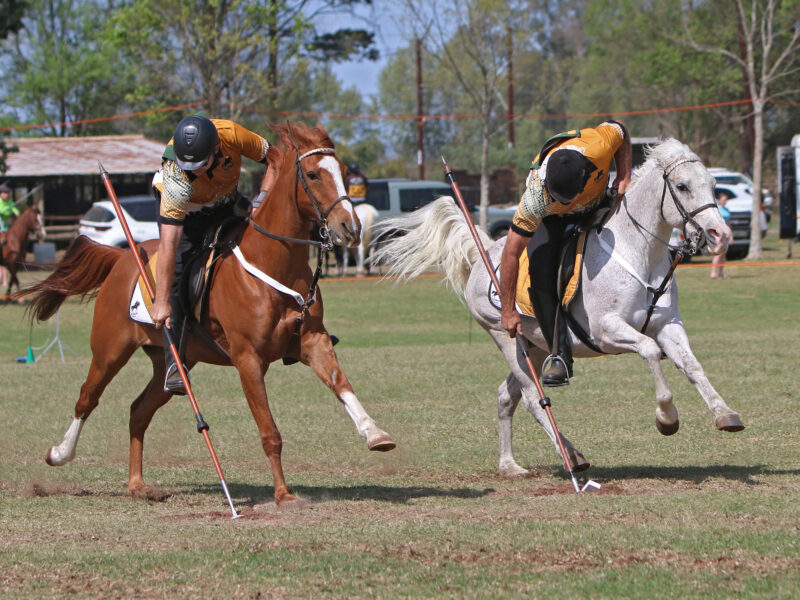 Tradition, Precision and the Thrill of the Charge in Tentpegging