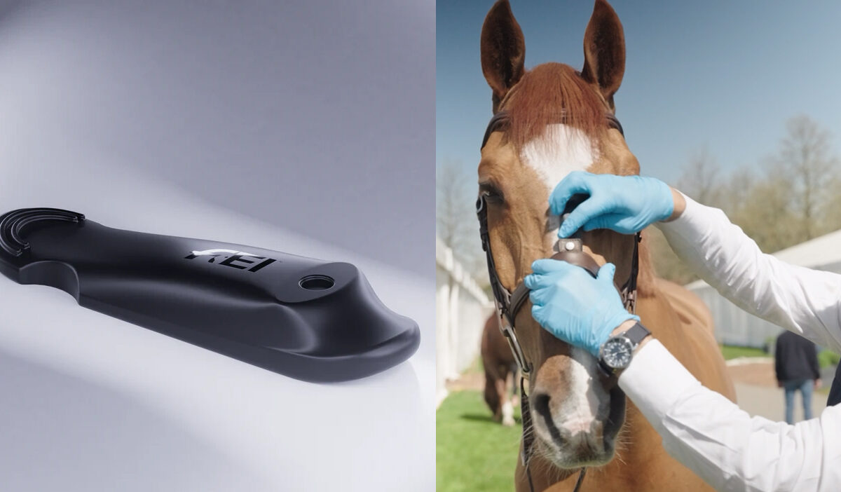Tight Nosebands Under Scrutiny