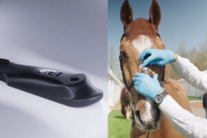 Tight Nosebands Under Scrutiny