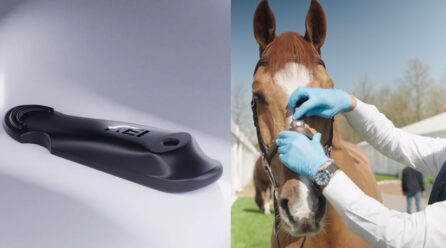 Tight Nosebands Under Scrutiny