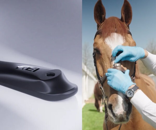 Tight Nosebands Under Scrutiny