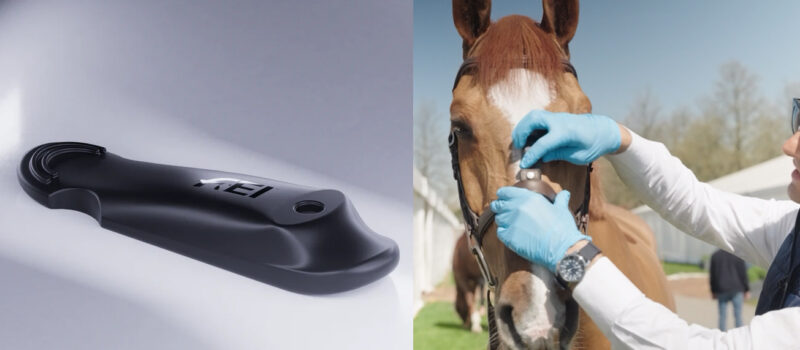 Tight Nosebands Under Scrutiny