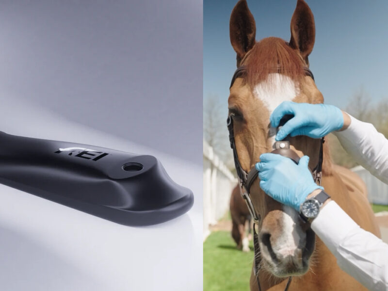 Tight Nosebands Under Scrutiny