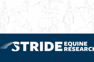 Stride Equine Research: A Trusted Name with a Bold New Look