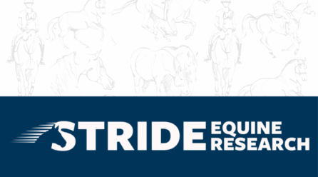 Stride Equine Research: A Trusted Name with a Bold New Look