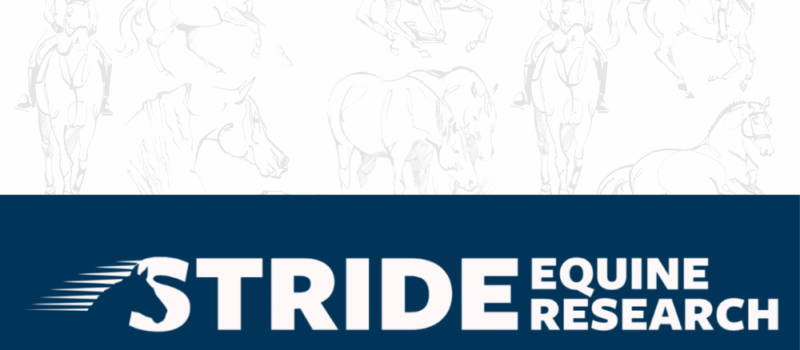 Stride Equine Research: A Trusted Name with a Bold New Look