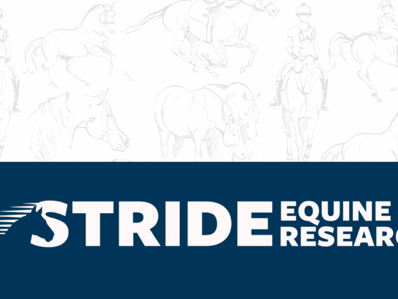 Stride Equine Research: A Trusted Name with a Bold New Look