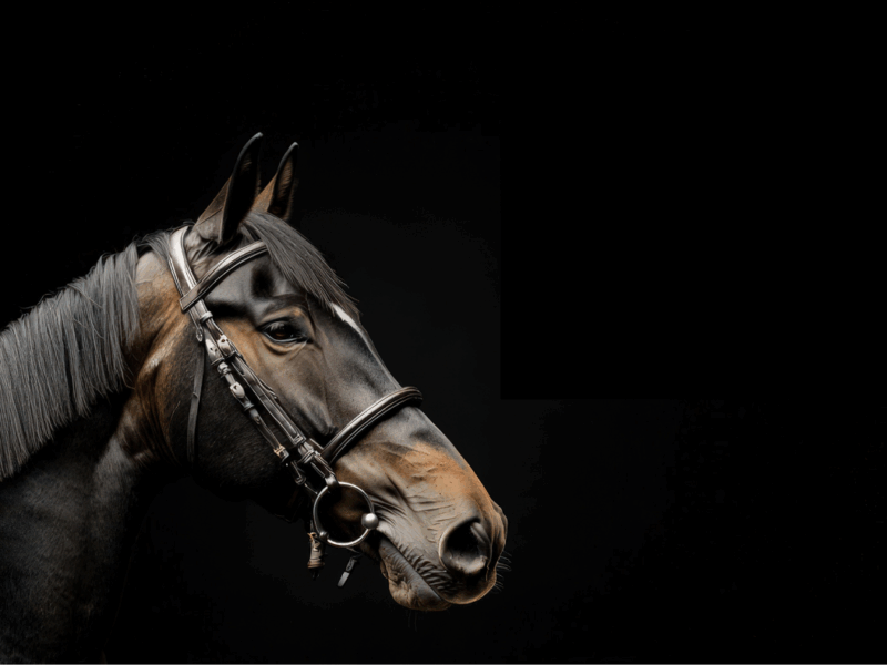 FINDING THE RIGHT BIT.