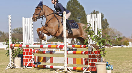 The rider’s true test, Equitation.