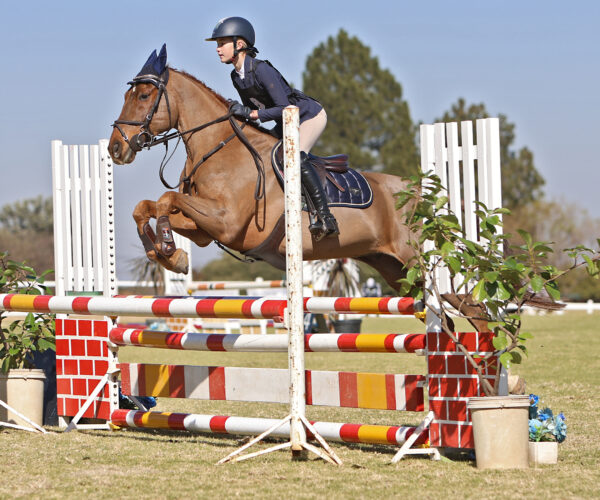The rider’s true test, Equitation.