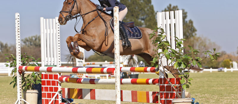 The rider’s true test, Equitation.