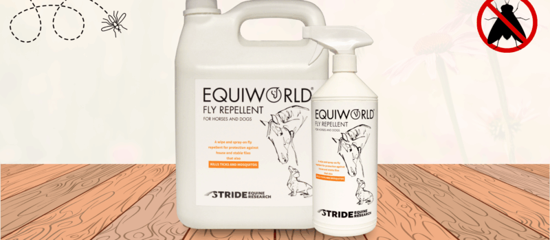 A true ally in the fly battle!