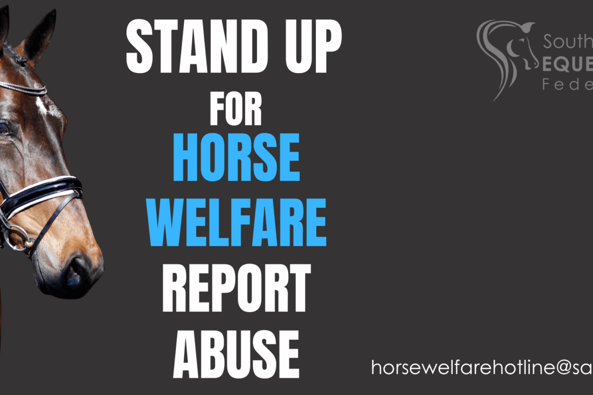 Report horse abuse – it is the right thing to do