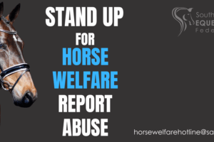 Report horse abuse – it is the right thing to do