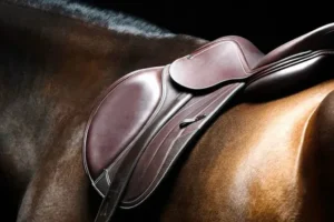 The art (and science) of saddle fitting.