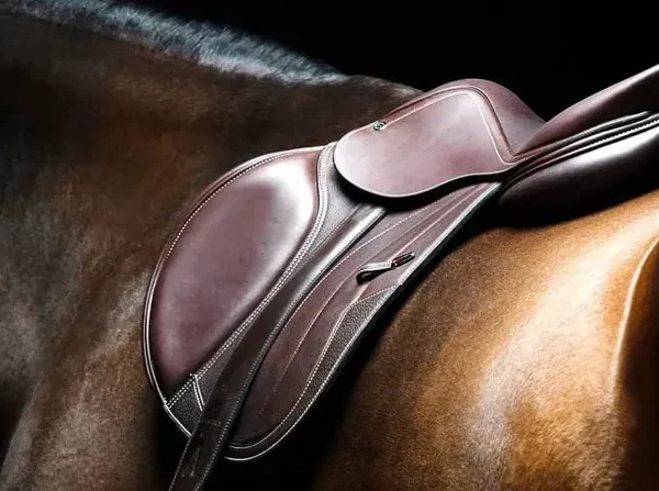 The art (and science) of saddle fitting.