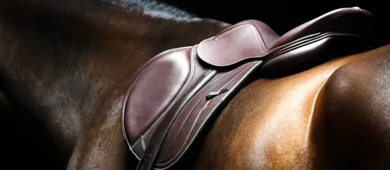 The art (and science) of saddle fitting.