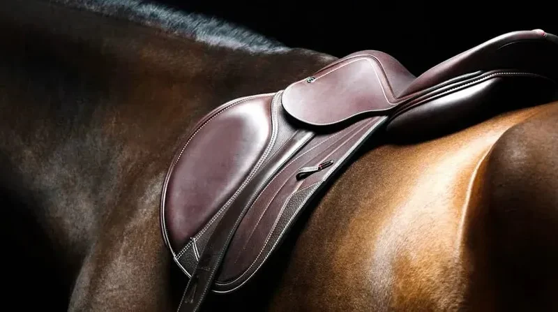 The art (and science) of saddle fitting.