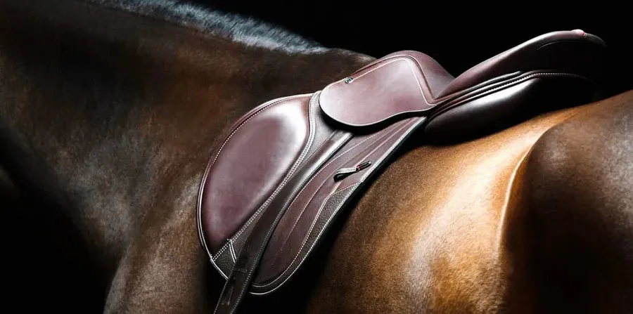The art (and science) of saddle fitting.