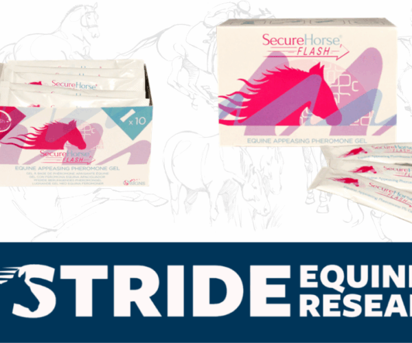 Keep calm and carry on with Secure Horse Flash.