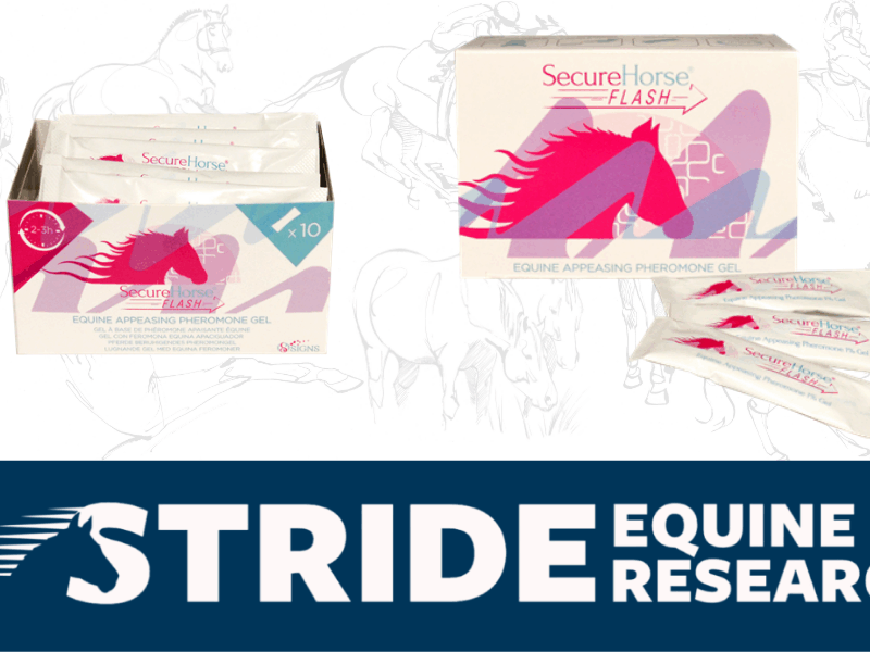 Keep calm and carry on with Secure Horse Flash.