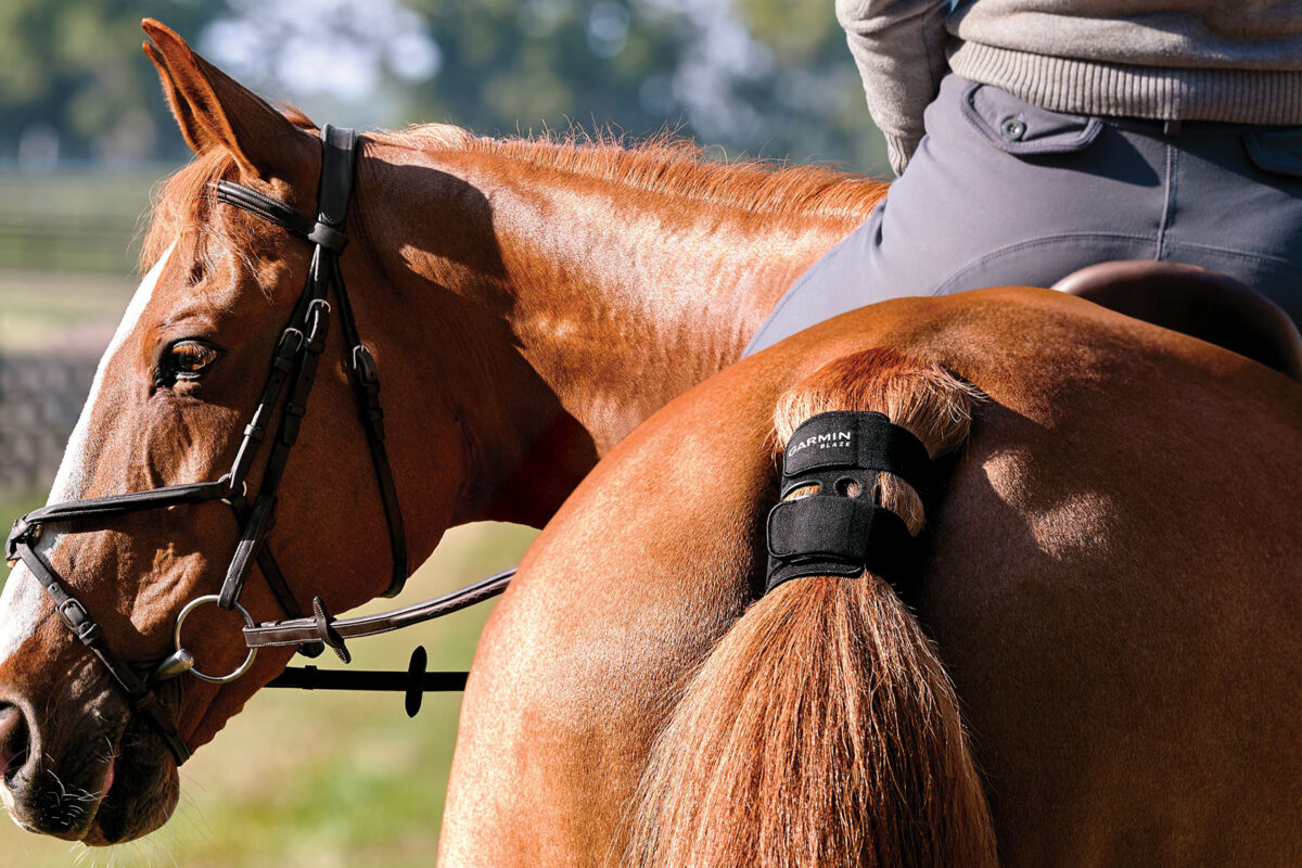 Blaze brings horse health into focus