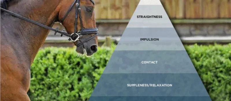 NO! Not the scales of training! Afraid so…