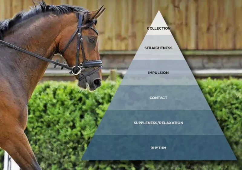 NO! Not the scales of training! Afraid so…