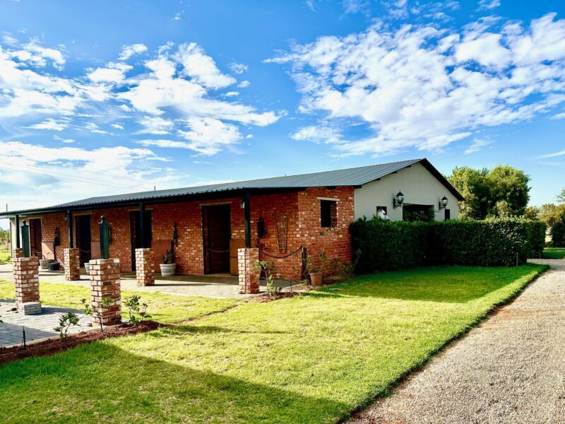 A place where horses and dreams belong.