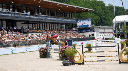 From young rider to Olympic champion