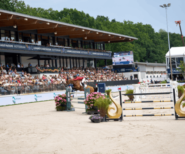 From young rider to Olympic champion