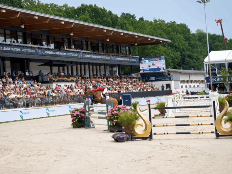 From young rider to Olympic champion